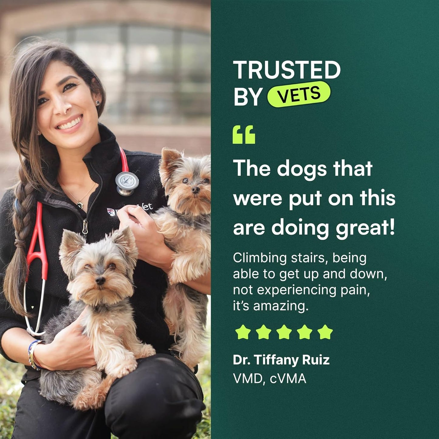 description_selected4